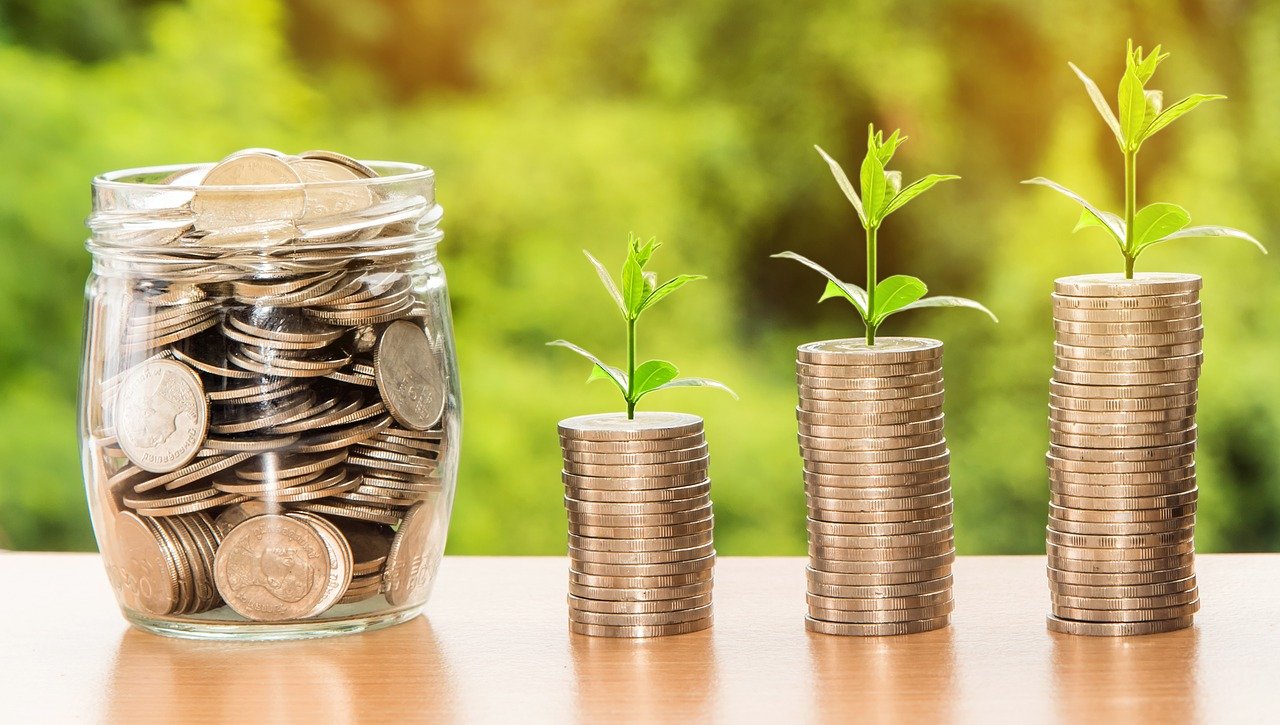 Como economizar ganhando pouco - Dicas que funcionam! (Imagem: Nattanan Kanchanaprat/Pixabay)