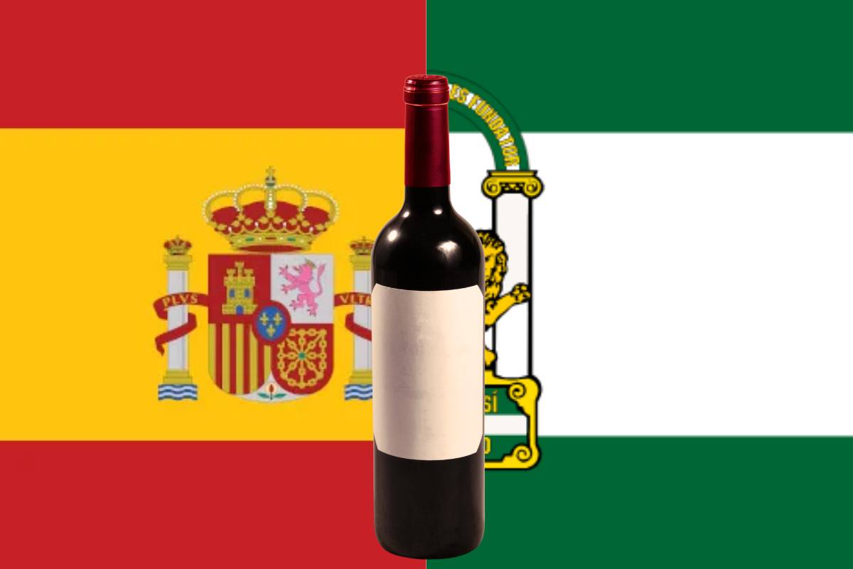 Os melhores e mais famosos Vinhos de Andaluzia