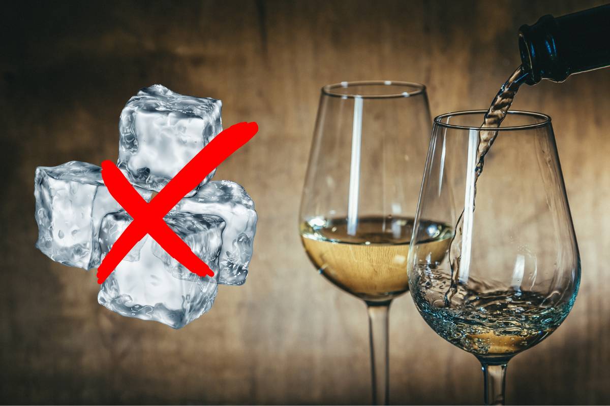 Por que é erradíssimo colocar gelo em Vinho Branco