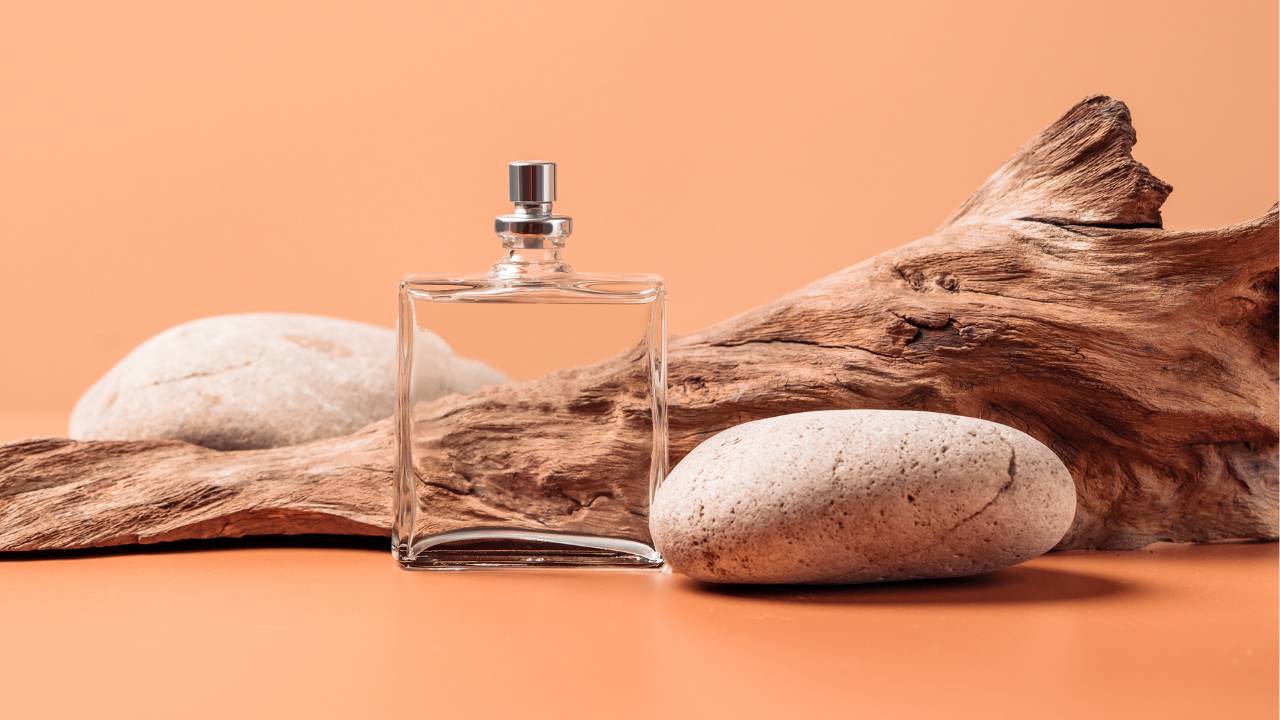 Pode usar perfume Amadeirado de dia Entenda se é o ideal ou não